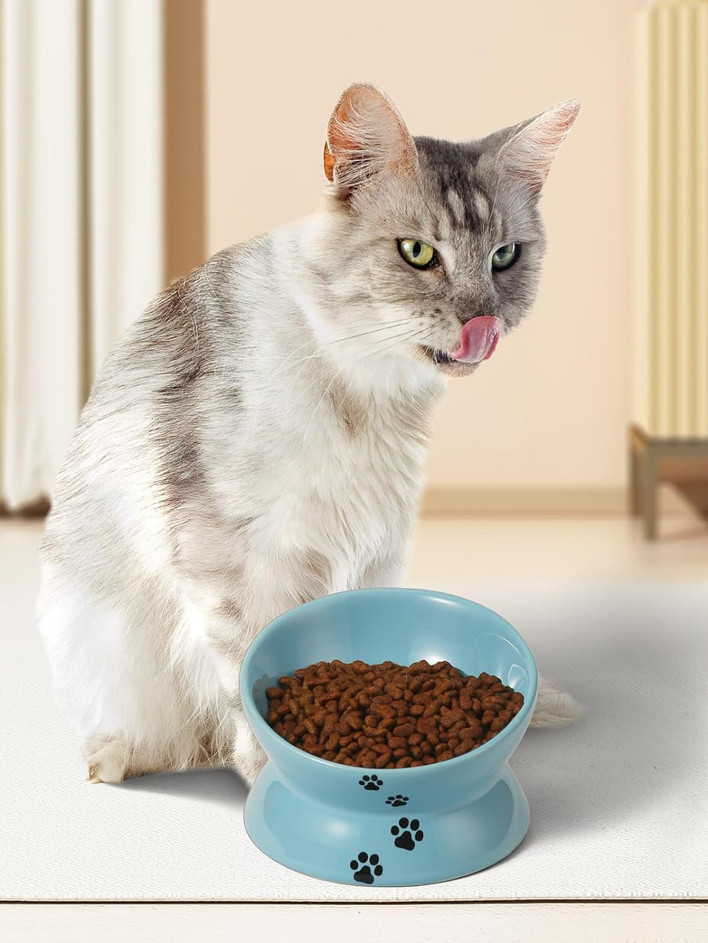 Elevated Ceramic Cat Food Bowl with Tilt Angle for Spine Protection, Anti-Vomiting Design, and Backflow Prevention in Lake Blue