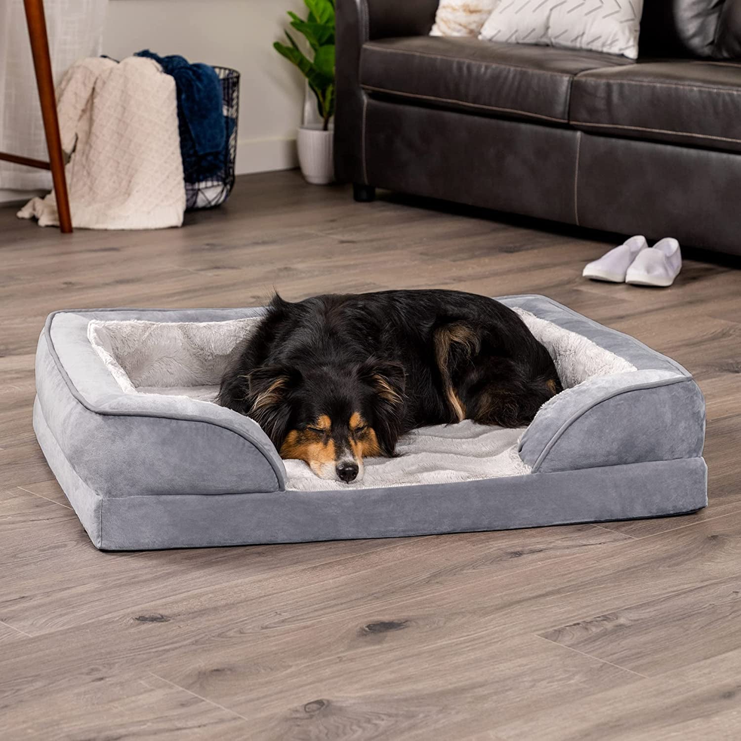 Orthopedic Foam Dog Bed with Washable Velvet Cover - Granite Gray, Large for Dogs up to 55 lbs
