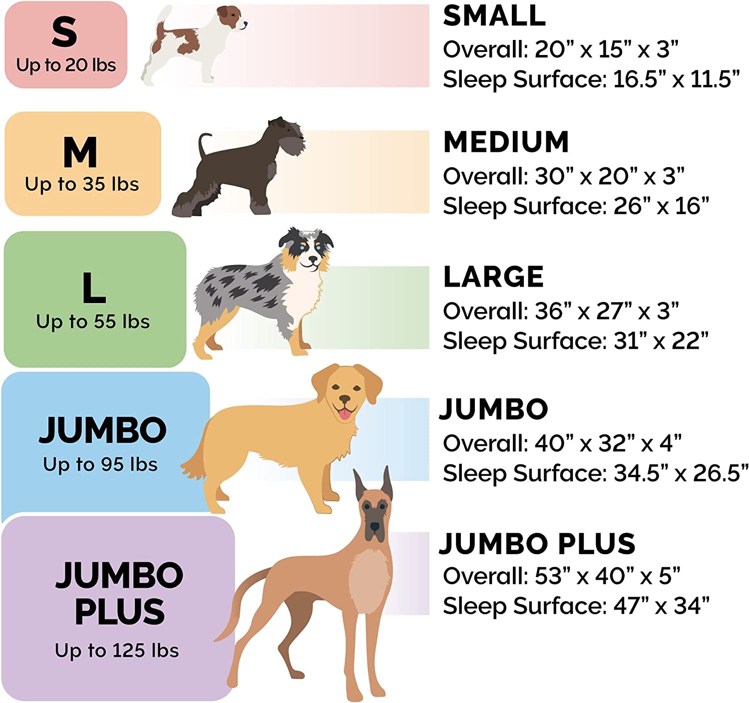 Orthopedic Foam Dog Bed with Washable Velvet Cover - Granite Gray, Large for Dogs up to 55 lbs