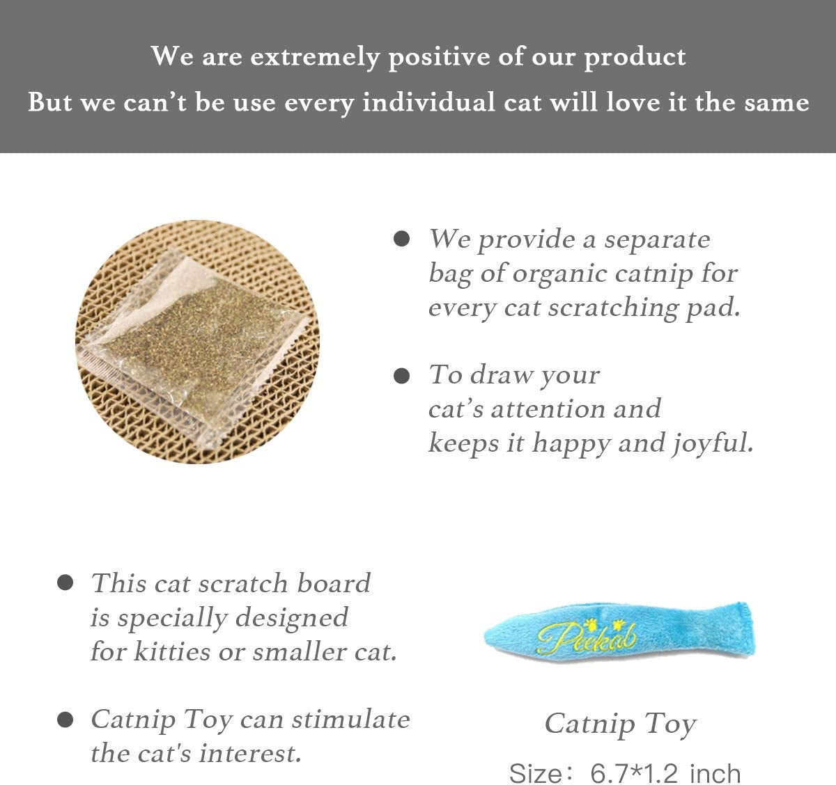 Reversible Cardboard Cat Scratcher and Bed with Catnip Included (1 Pack)