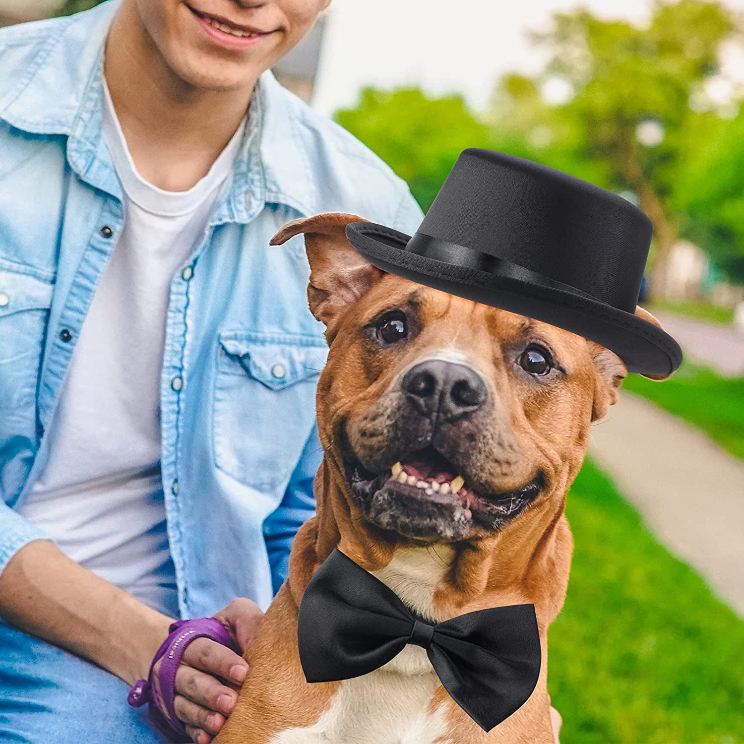 2 Pieces Pet Formal Accessories Set - Top Hat with Pet Formal Necktie/Bowtie Birthday Party Gradation Halloween Costumes Accessories for Dog Cat (Black-A)