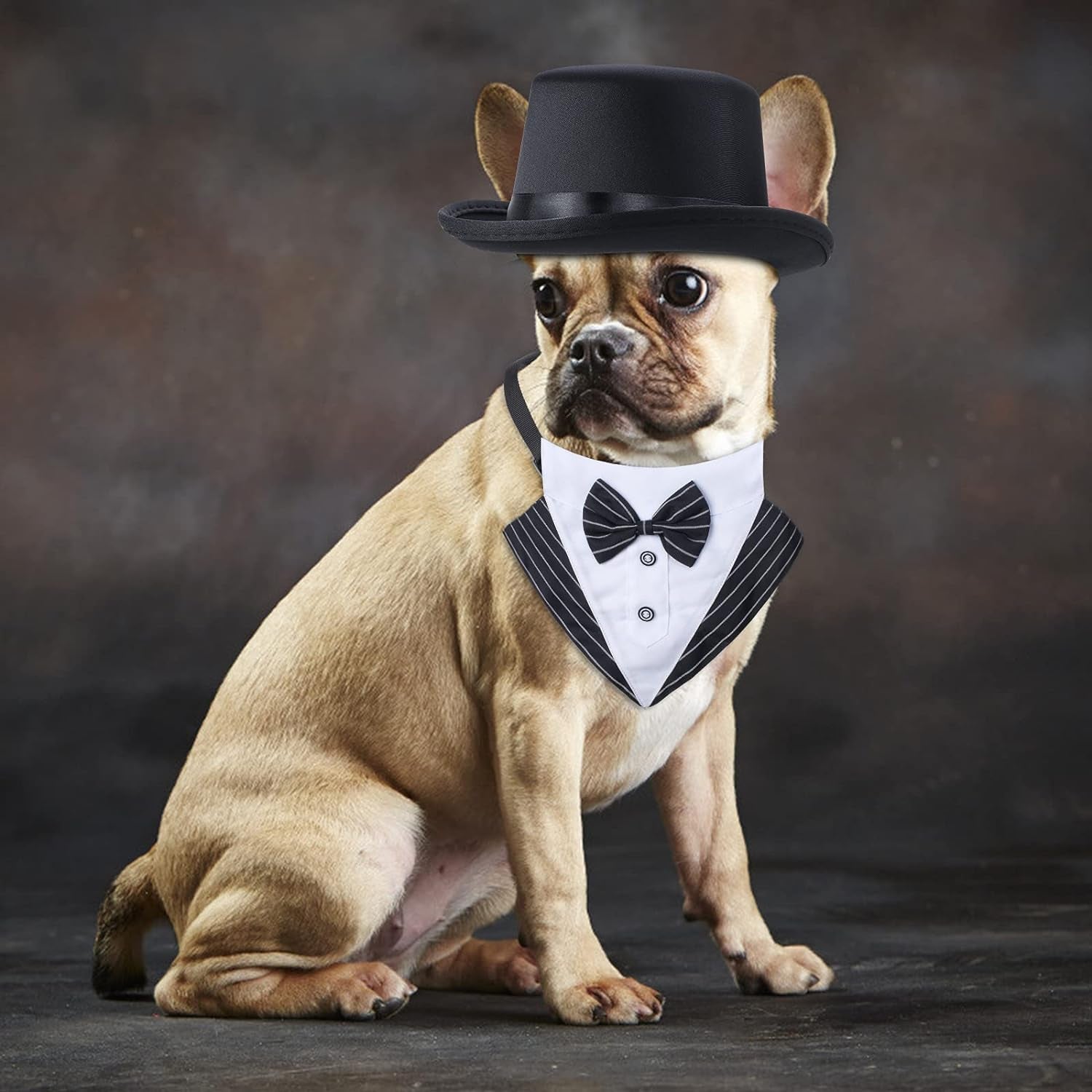 2 Pieces Pet Formal Accessories Set - Pet Top Hat with Formal Pet Tuxedo Bandana Collar Birthday Party Gradation Halloween Costumes Accessories for Dog Cat (Set-A) One Size