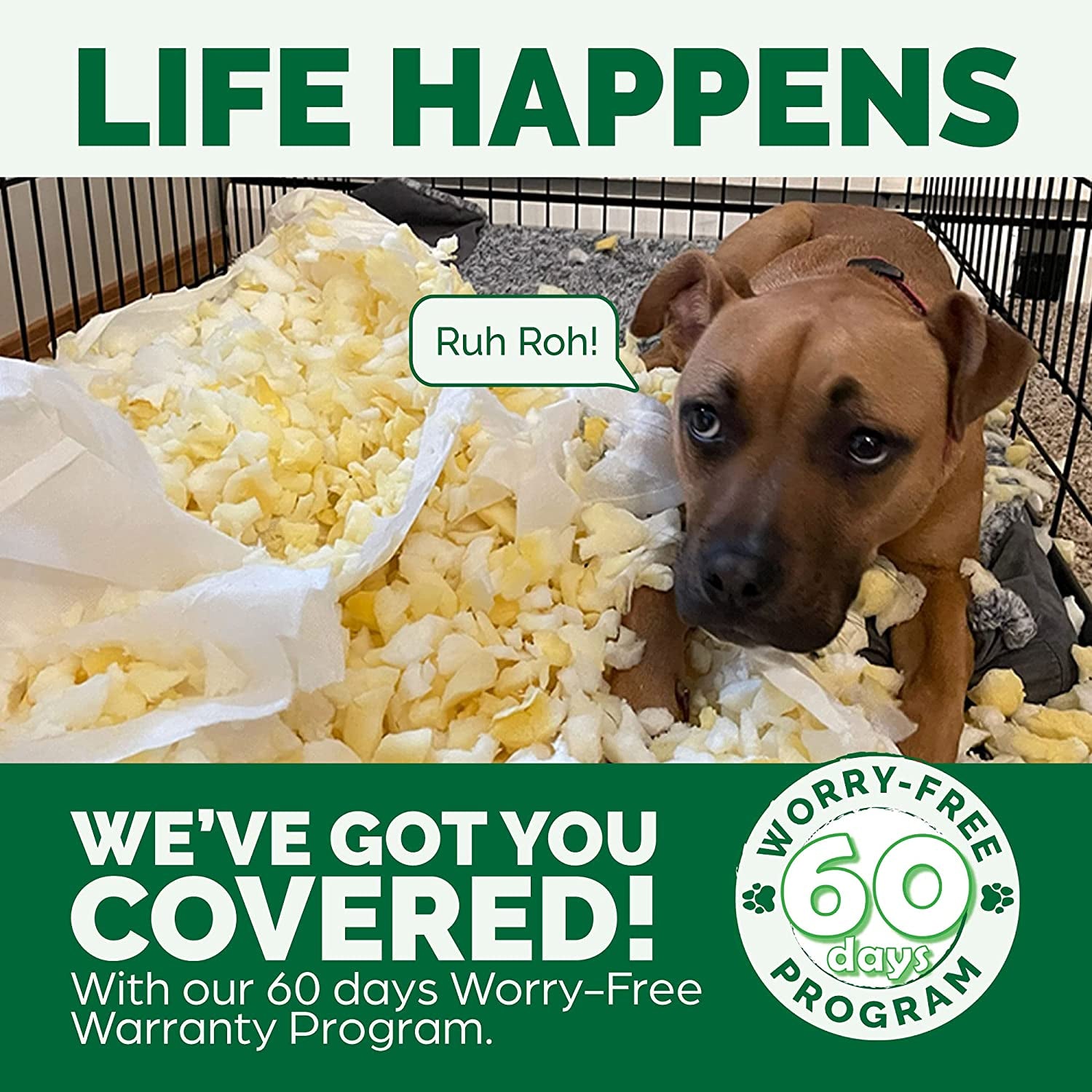 Orthopedic Foam Dog Bed with Washable Velvet Cover - Granite Gray, Large for Dogs up to 55 lbs