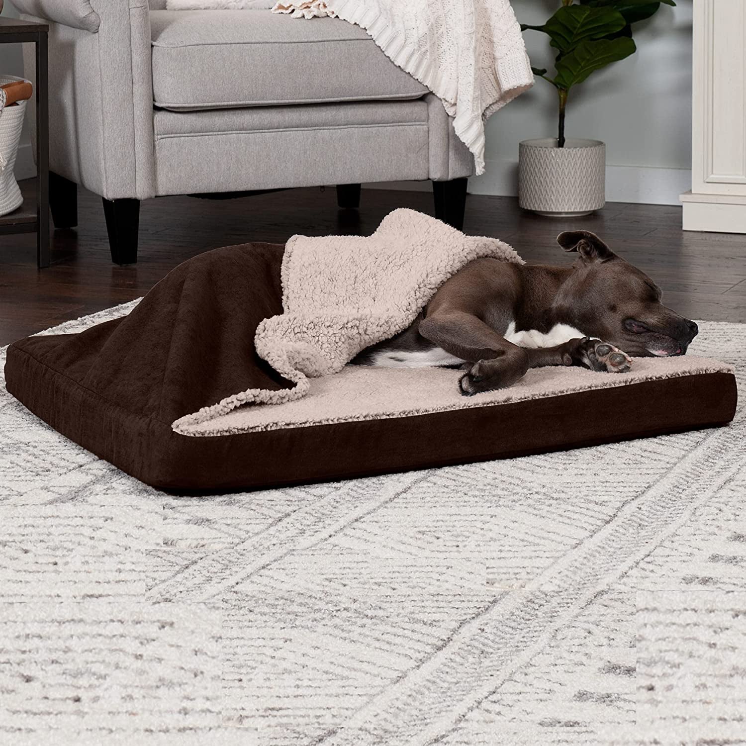 Large Medium Dog Bed with Cooling Gel and Removable Washable Cover for Dogs up to 55 lbs - Berber & Suede Top Mattress - Espresso