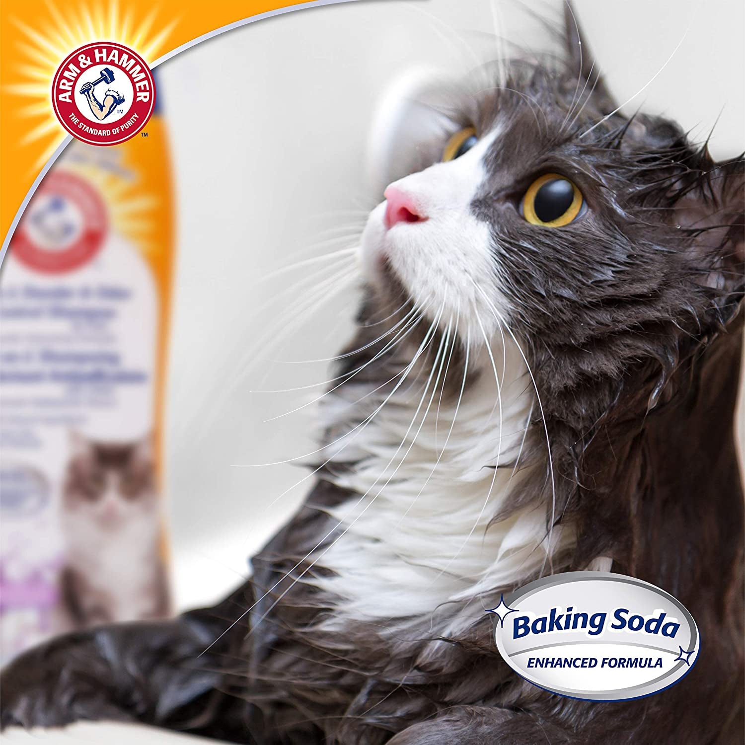 2-in-1 Deodorizing and Dander-Reducing Cat Shampoo with Baking Soda, Lavender Chamomile Scent, 20 Fl Oz