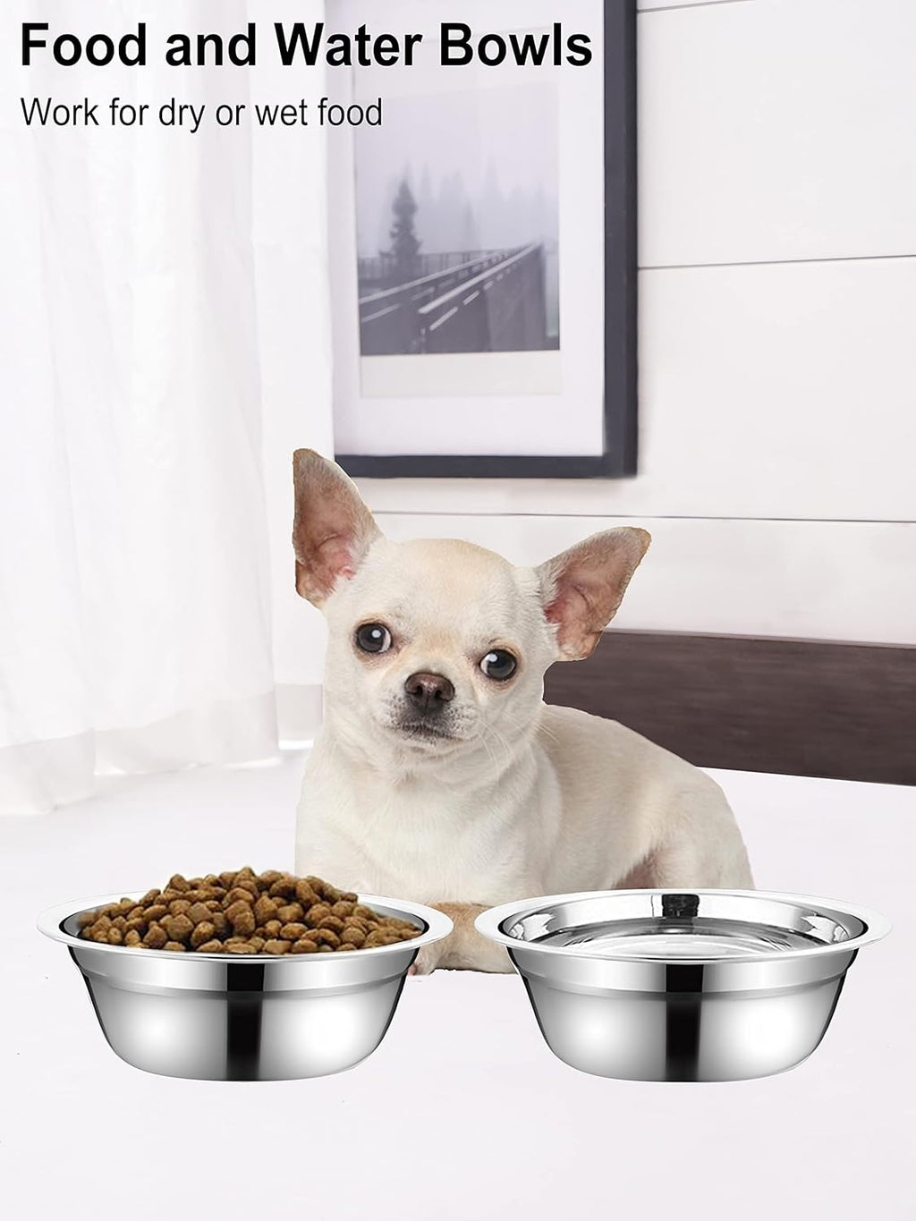 Stainless Steel Small Dog Food Bowls, Set of 2, 5.4 in Diameter, Replacement Bowls for Raised Feeding Stations (1.3 Cup Capacity)