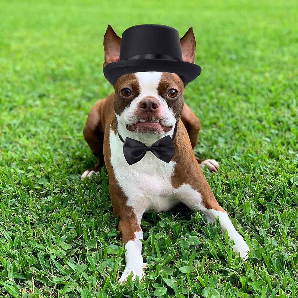 2 Pieces Pet Formal Accessories Set - Top Hat with Pet Formal Necktie/Bowtie Birthday Party Gradation Halloween Costumes Accessories for Dog Cat (Black-A)
